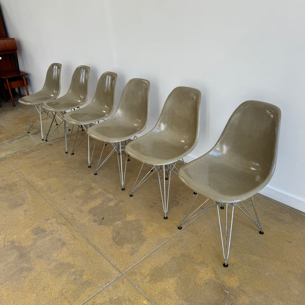 Modernica Case Study Fiberglass set of 6 Dining chairs